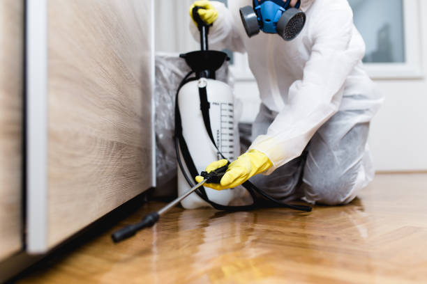 Best Mosquito Control Services  in Jean Fitte, LA