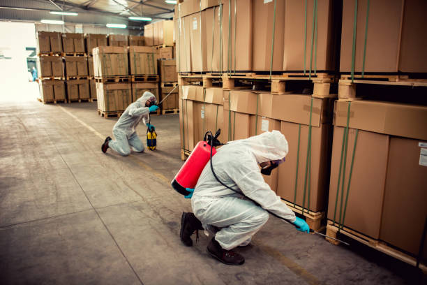 Best Termite Control Services  in Jean Fitte, LA