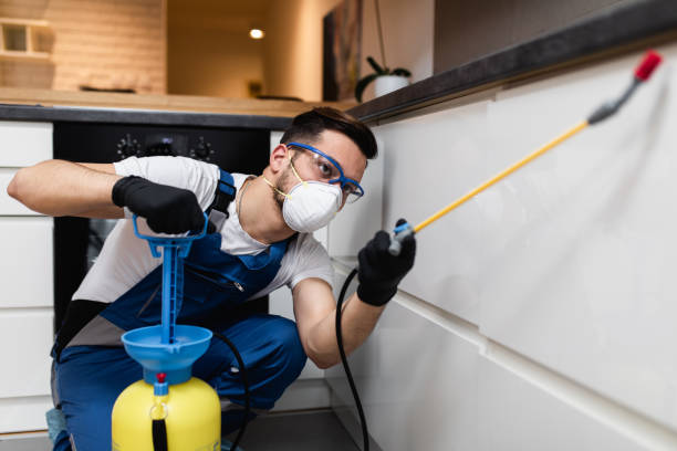 Best Local Pest Control Services  in Jean Fitte, LA