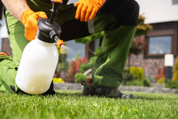 Flea Control Services in Jean Lafitte, LA