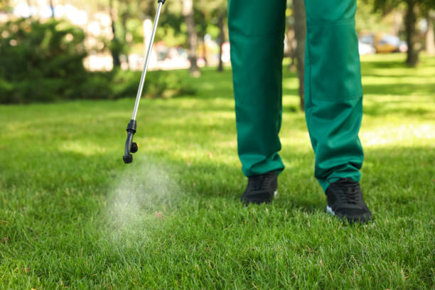 Best Emergency Pest Control  in Jean Fitte, LA
