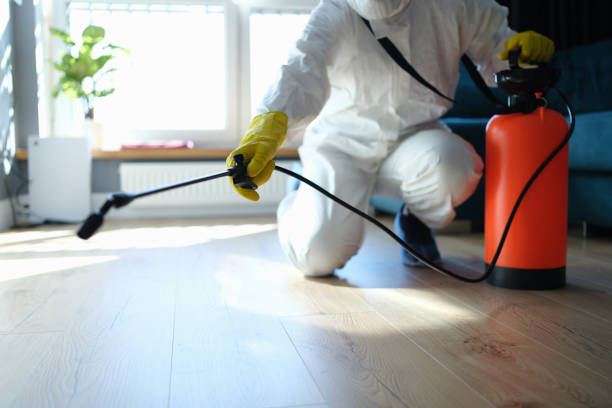 Best Emergency Pest Control  in Jean Fitte, LA