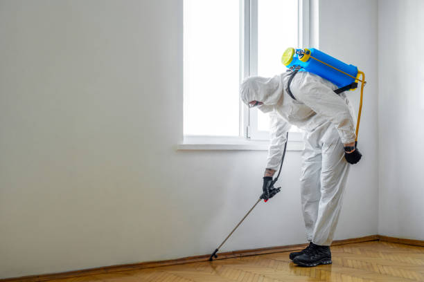 Pest Control Cost in Jean Lafitte, LA