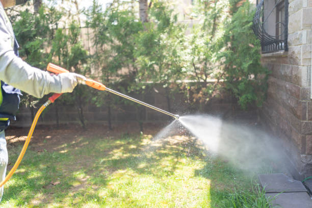 Wildlife Control Services in Jean Lafitte, LA