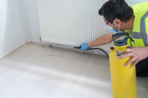 Best Best Pest Control Companies  in Jean Fitte, LA