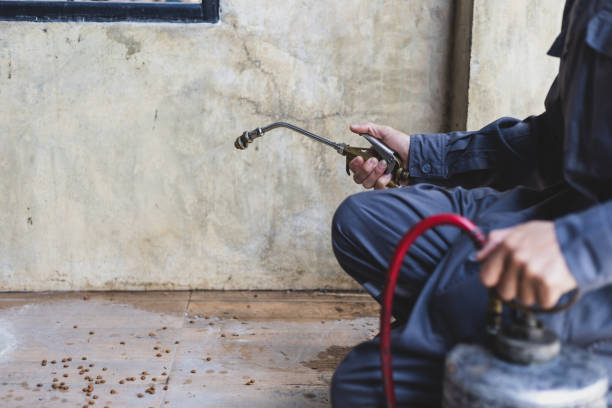 Best Commercial Pest Control Services  in Jean Fitte, LA